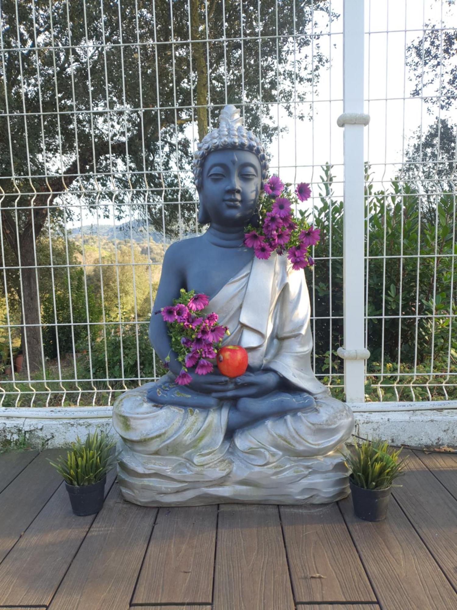Spa Ibiza Dosrius Canyamás 外观 照片