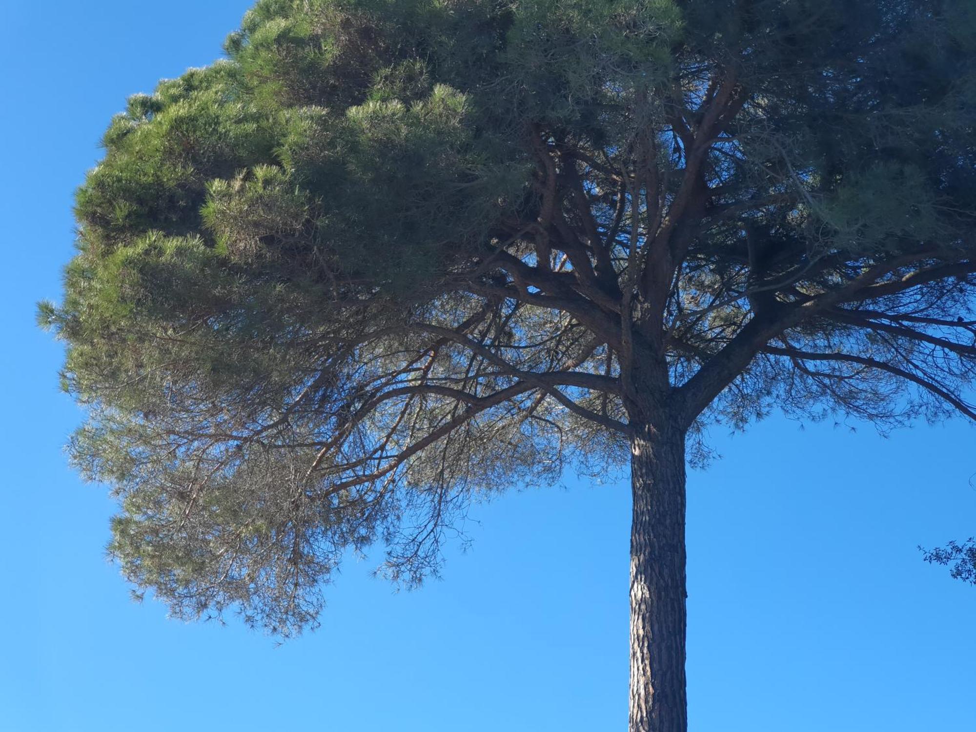 Spa Ibiza Dosrius Canyamás 外观 照片